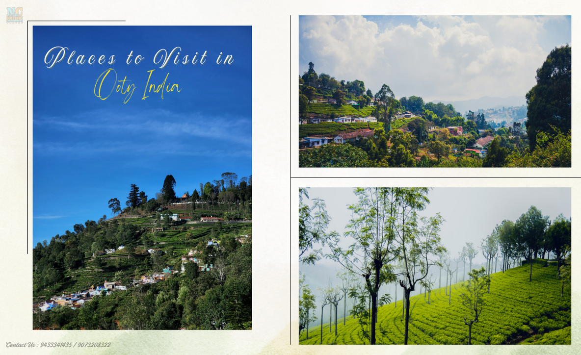 main attractions in Ooty, Ooty tourist destinations India, places to visit in Ooty,